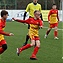U12: Přes prohru pochvala