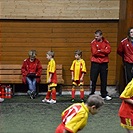 Tempo triumfovalo na turnaji v Milovicích