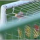 FC Tempo Praha - Dolní Měcholupy 5:0