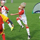 Turnaj Neberte nám naši hru v Hostivaři