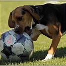 FC Tempo Praha - Junior Praha B 9:0